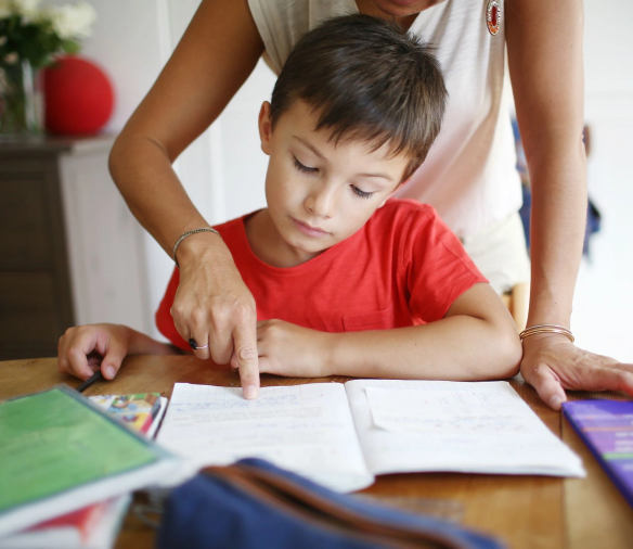 Top School Management Software Company in India